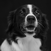 Maggie