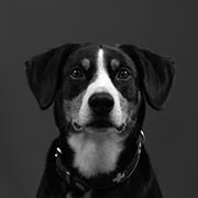 Max_H2