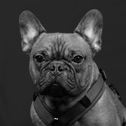 Mylo